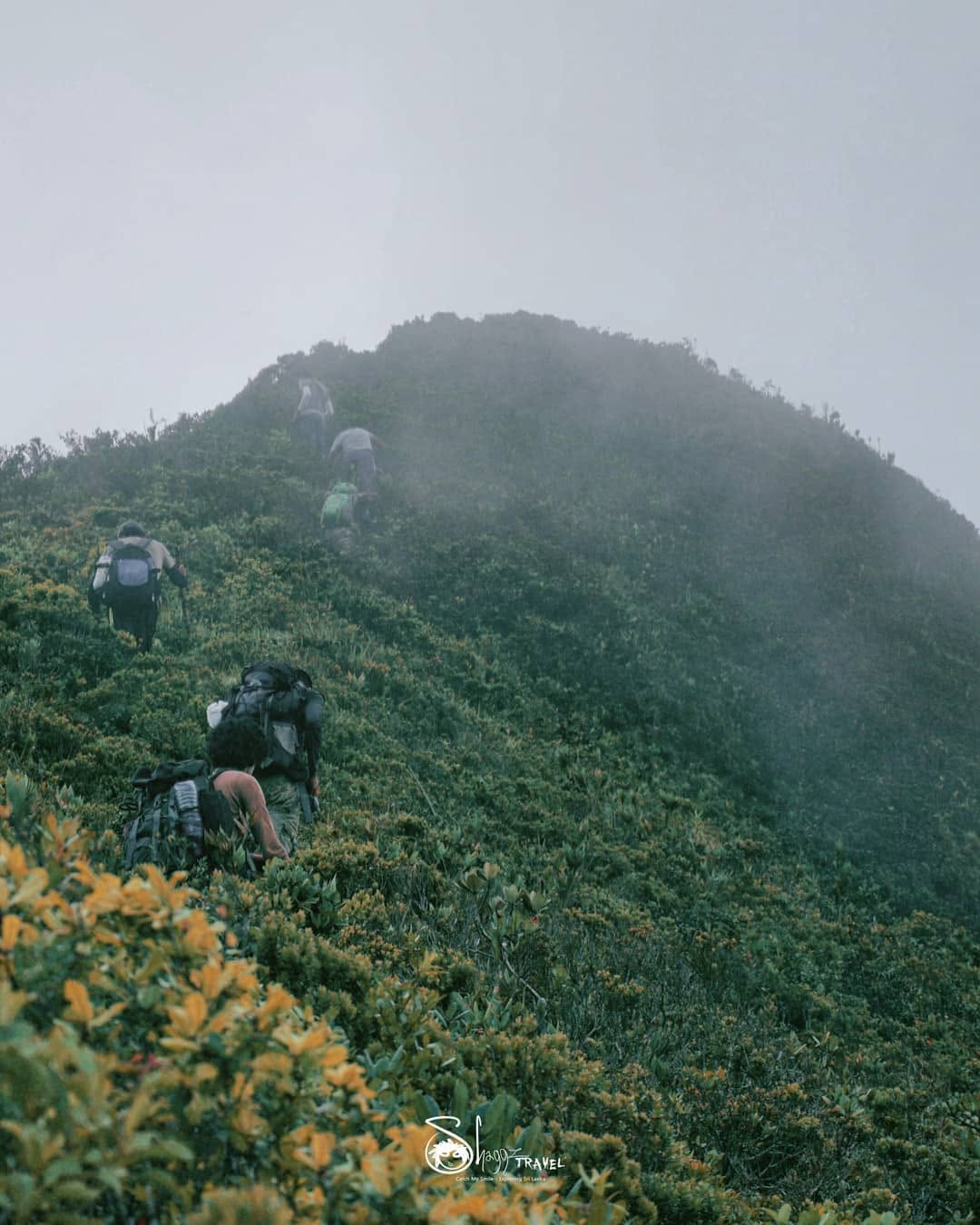 Hiking trail photography in Sri Lanka's hill country